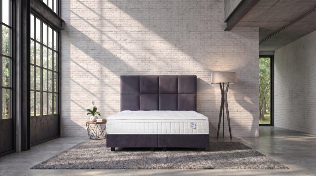 Sleep Sense DALLAS
